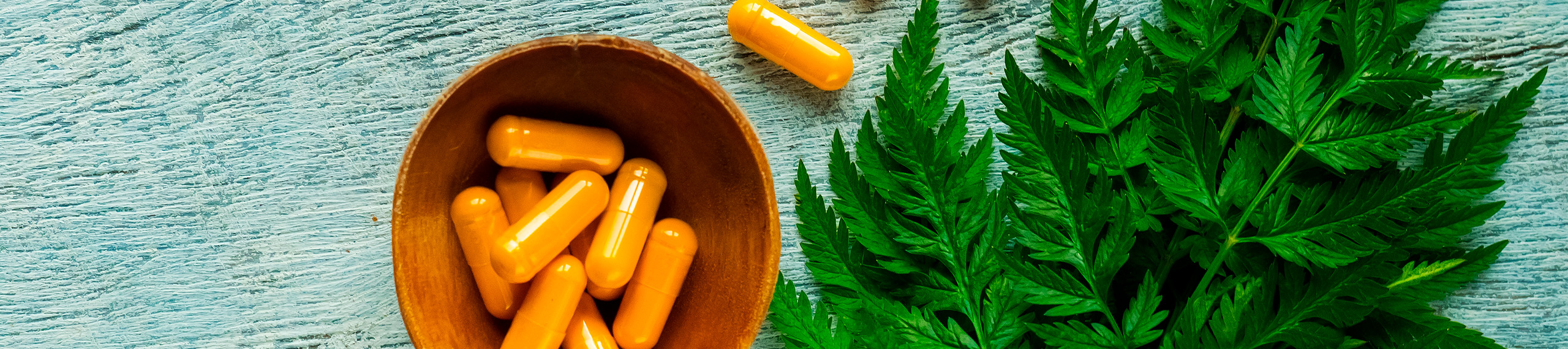 ¿Qué son los alimentos nutracéuticos y cuáles son sus beneficios?