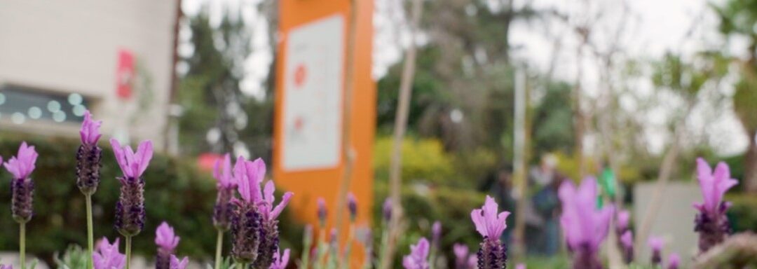 Novedades Sostenibilidad