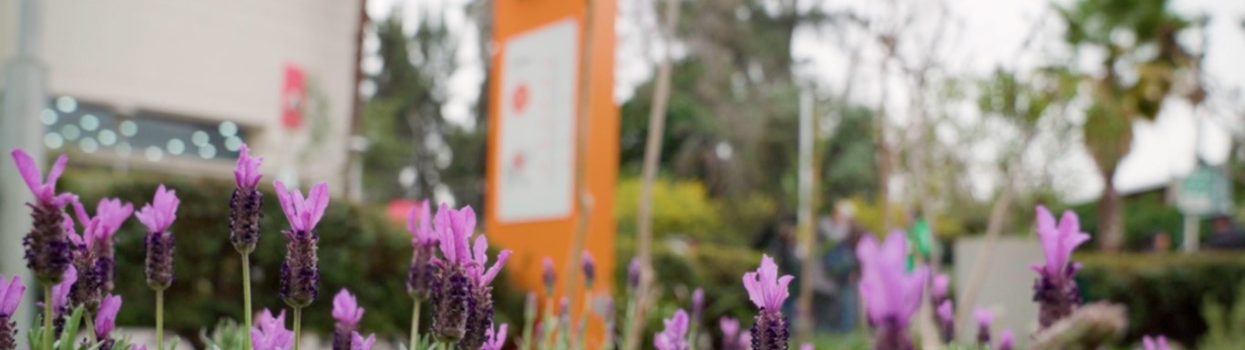 Novedades Sostenibilidad